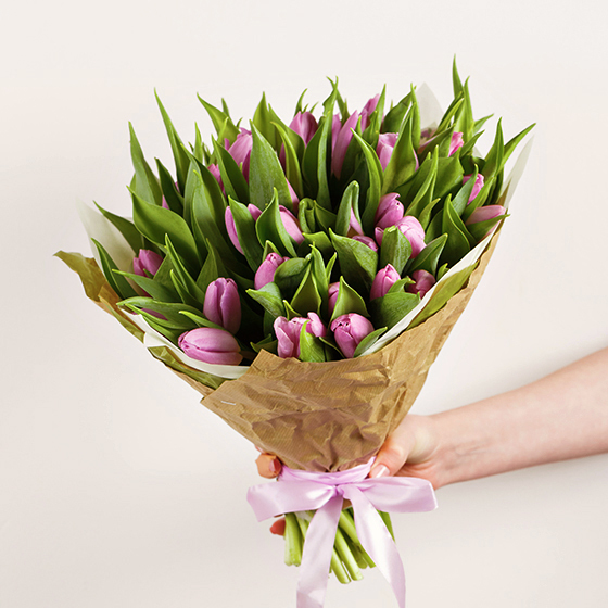 Лавандовые тюльпаны<span style="font-style: italic;"></span>